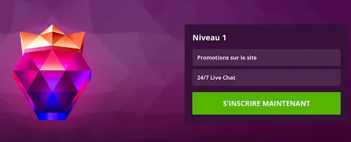 Profitez des avantages du Niveau 1 : promotions régulières et assistance par chat disponible à toute heure Niveau 1 – Promotions sur le site et accès au chat en direct 24/7